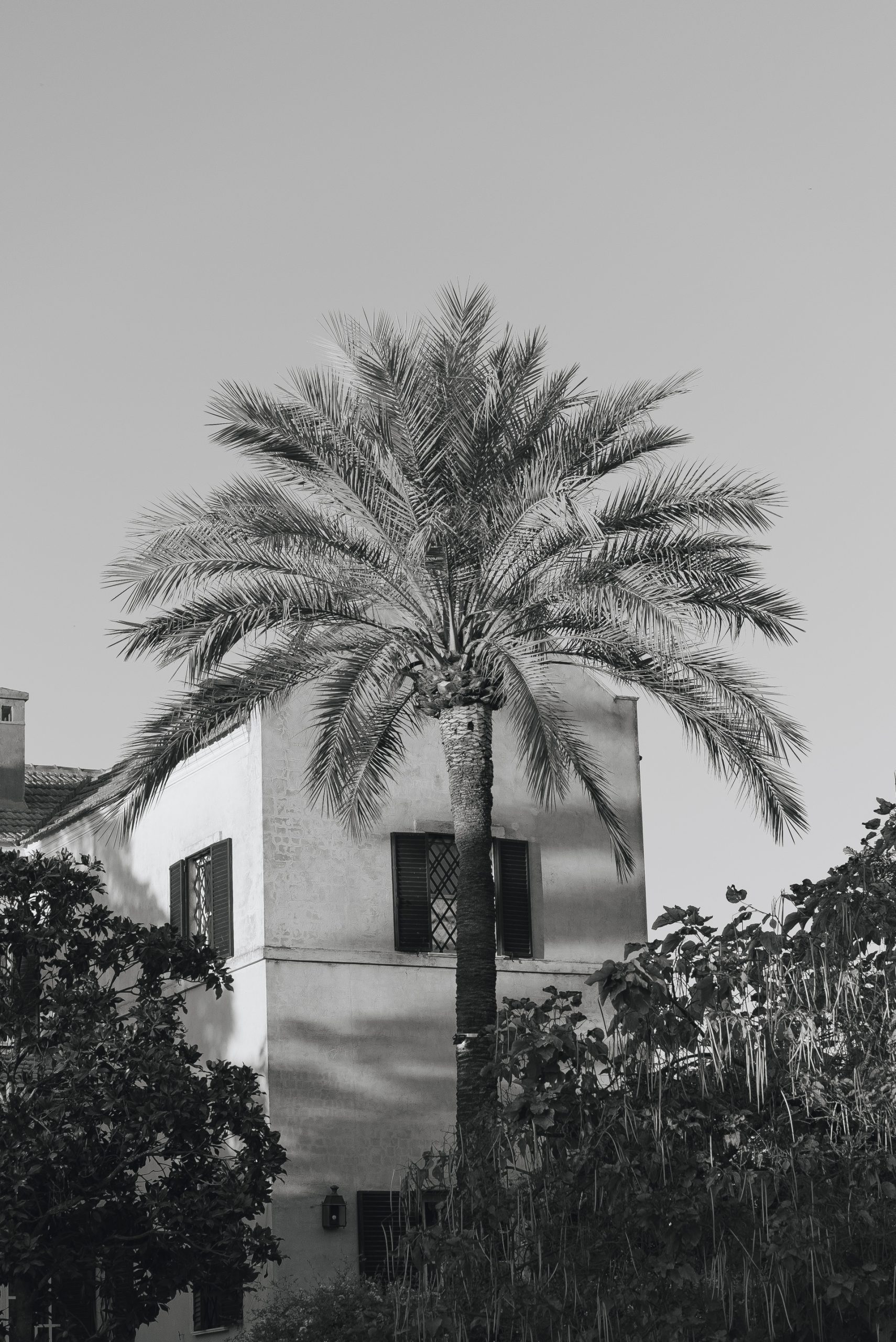 Fotógrafo de bodas en Mallorca