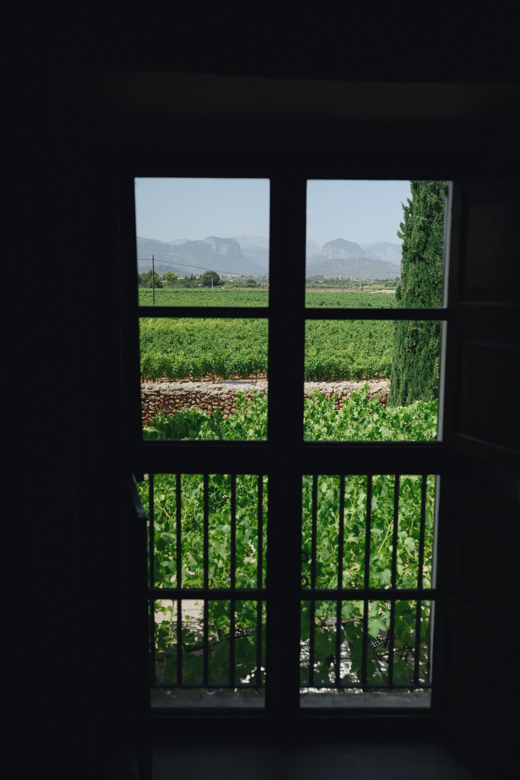 Fotógrafo de bodas en Mallorca