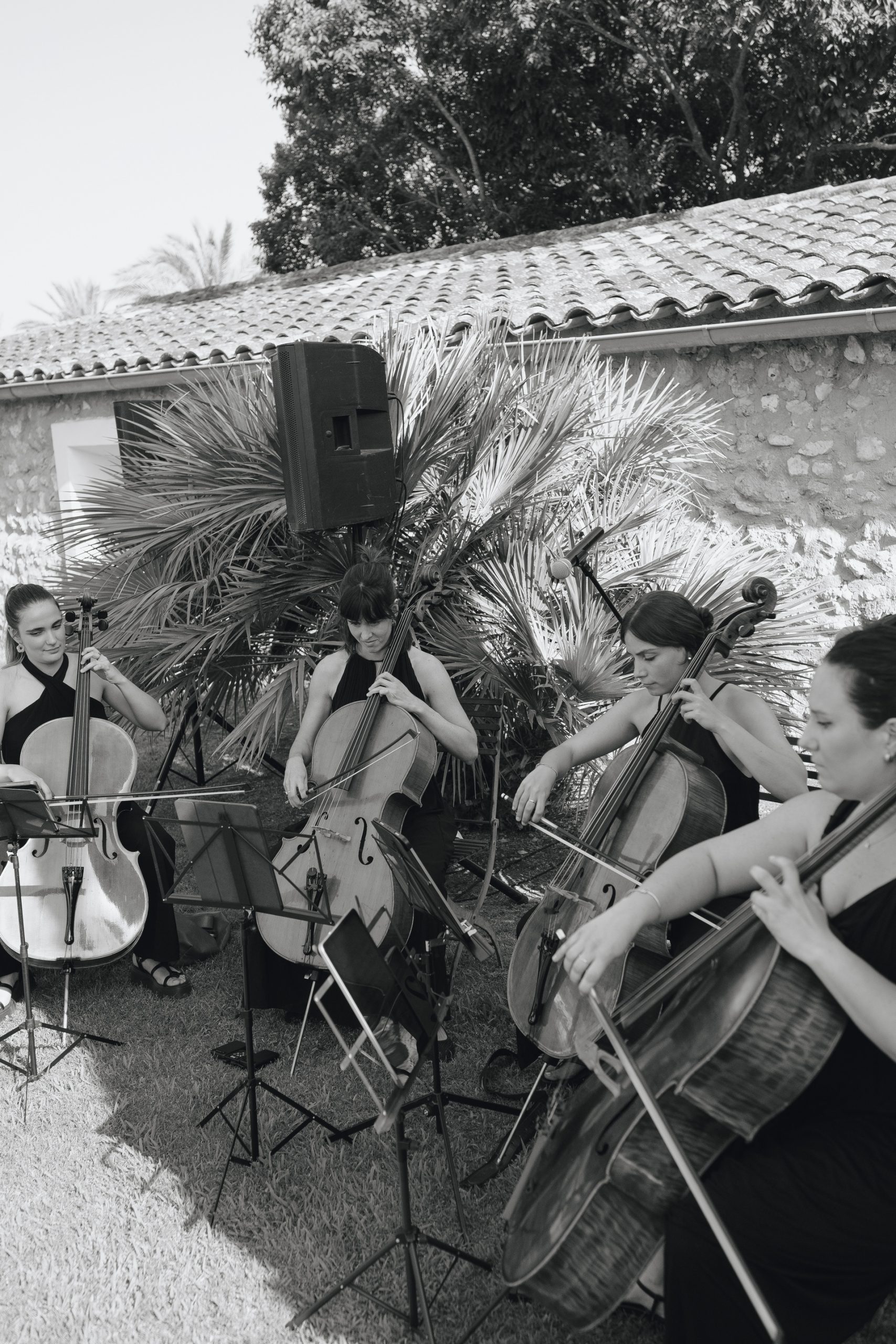 Fotógrafo de bodas en Mallorca
