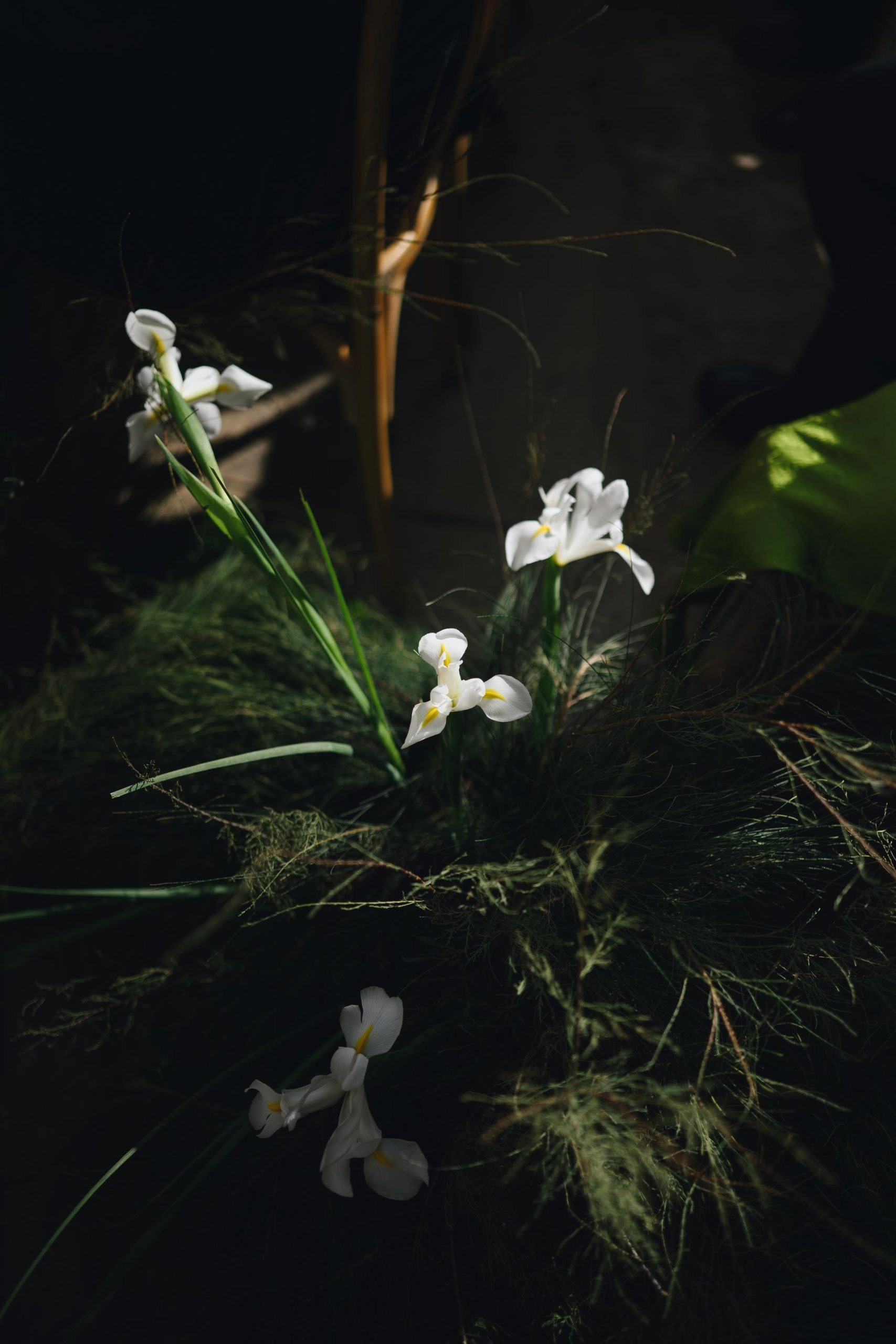 Fotógrafo de bodas en Mallorca