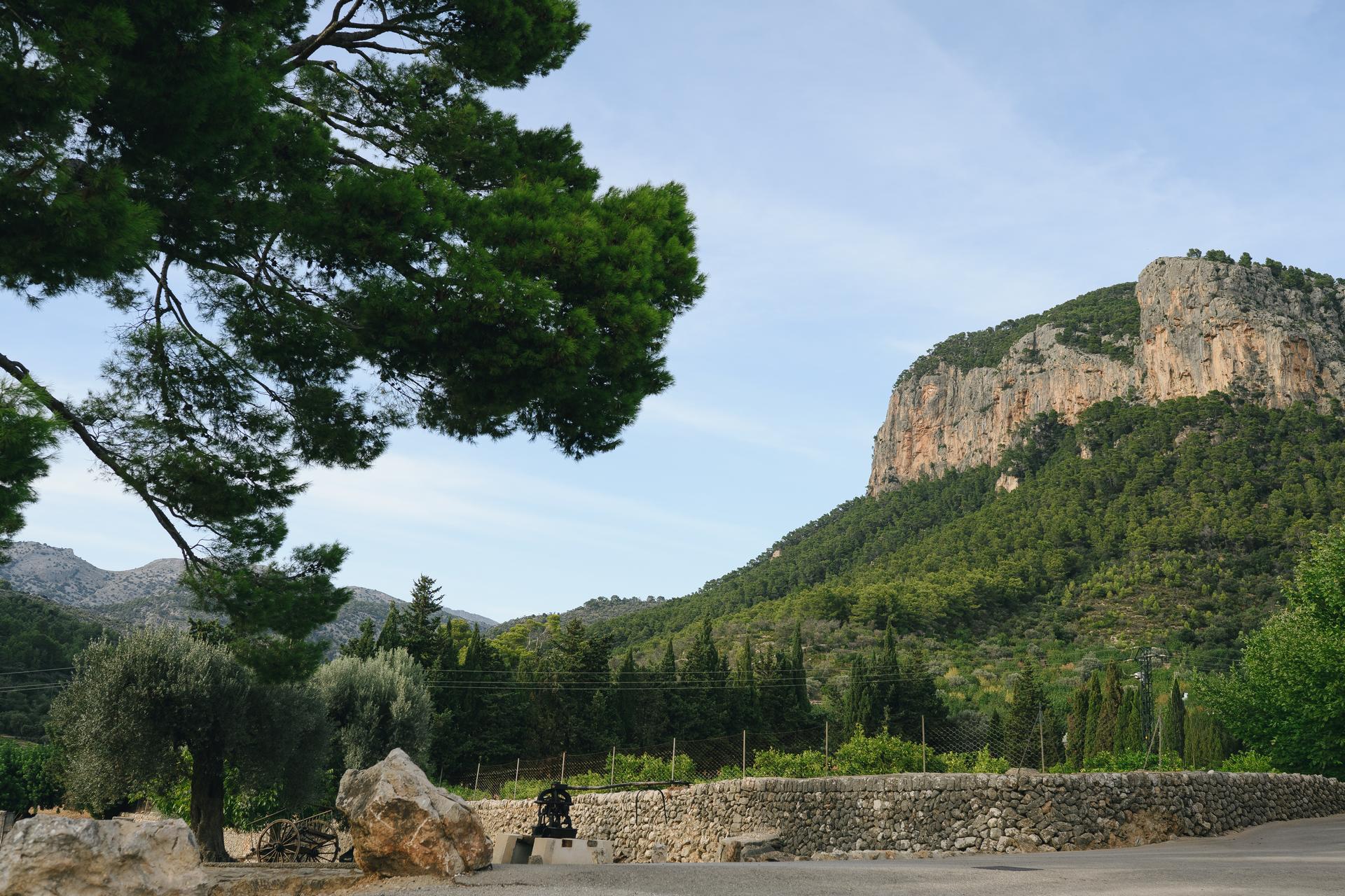Fotógrafo de bodas en Mallorca