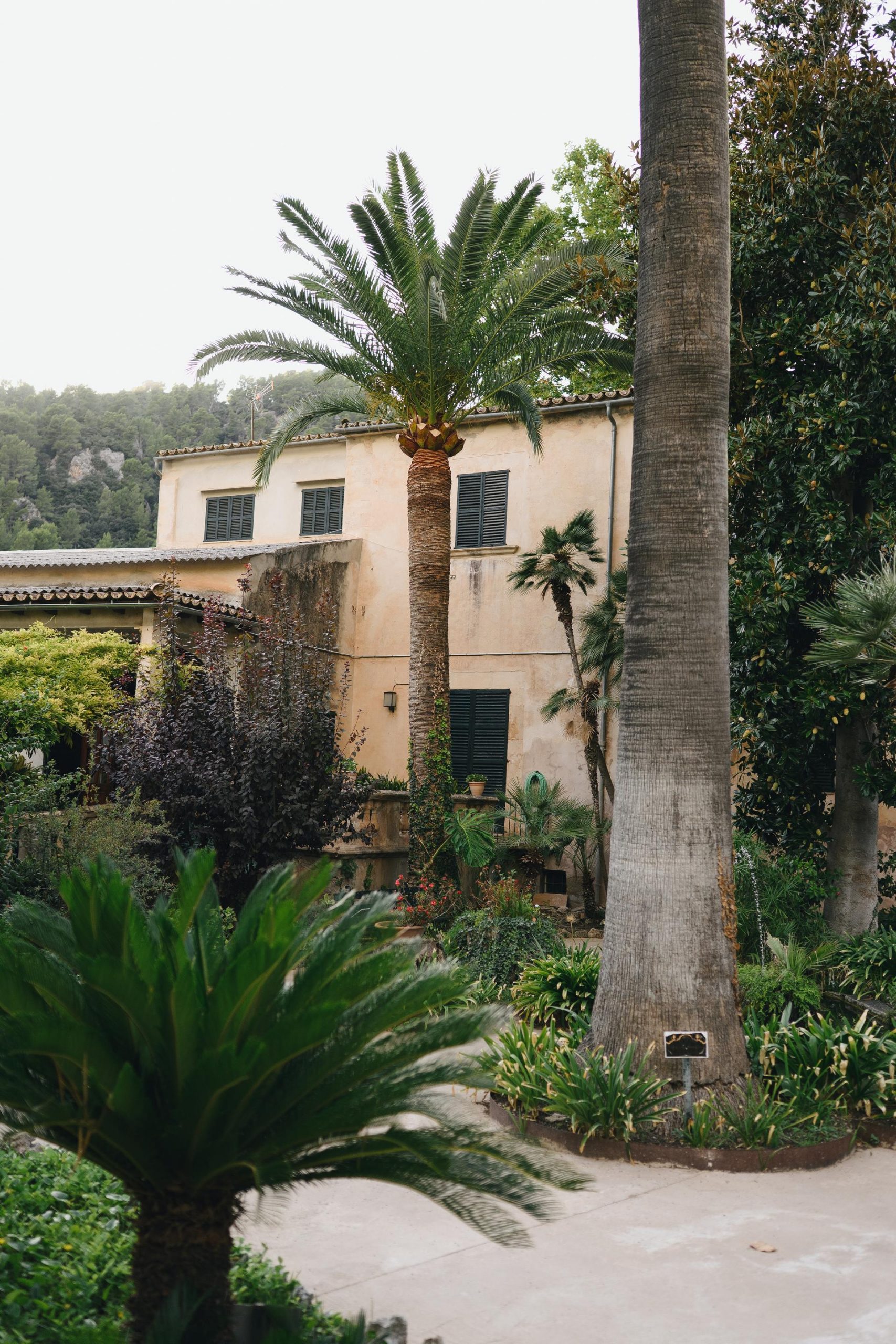 Fotógrafo de bodas en Mallorca