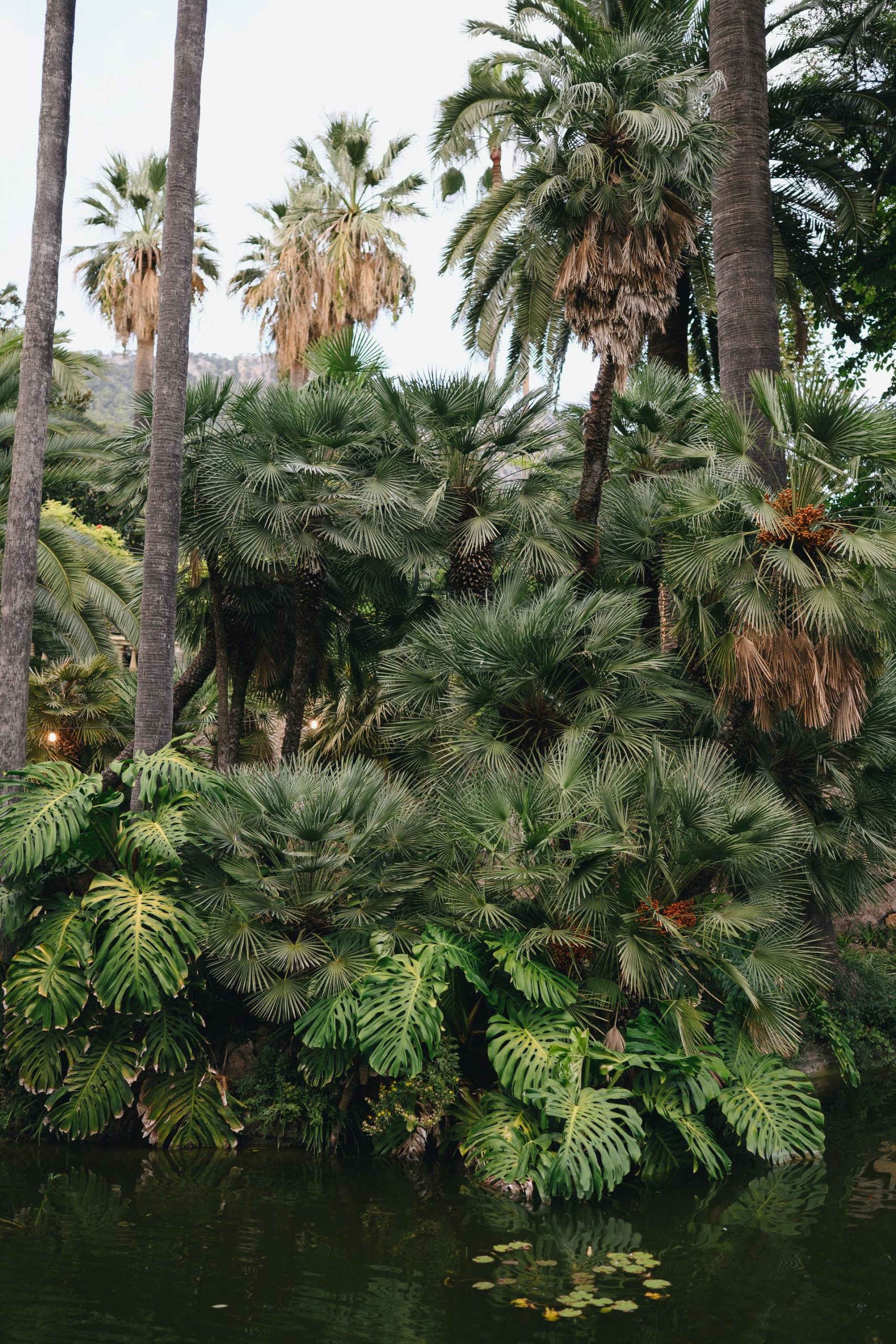 Fotógrafo de bodas en Mallorca